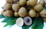 Ăn nhãn thế nào để không bị nóng?
