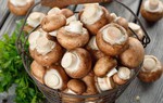 Mẹ bầu ăn nhiều nấm ảnh hưởng đến thai nhi như thế nào?