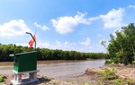 Úc thúc đẩy sử dụng công nghệ trong giám sát môi trường rừng ngập mặn