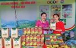 Phấn đấu đến năm 2025, ít nhất 50% làng nghề truyền thống có sản phẩm OCOP