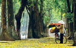Đẹp nao lòng tháng Tám Hà Nội vào thu
