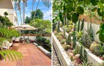 Tự tay cải tạo khoảng sân rộng 170m2 thành khu vườn sinh thái tự nhiên, đầy sức sống