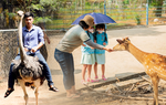 Những vườn thú giúp trẻ nhỏ được trải nghiệm tiếp xúc động vật ở cự ly gần