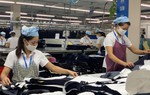 Những vấn đề giới cần quan tâm trong và sau đại dịch Covid-19