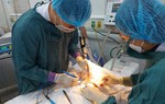 Đang chăm sóc người bệnh, bất ngờ bị ngừng tuần hoàn 