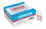 Cô gái bị ngộ độc lidocaine do trị mụn lưng: Lidocaine quá liều nguy hiểm thế nào?