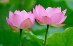  5 điều càng sớm làm càng hạnh phúc