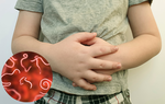 6 loại rau củ hạt dễ kiếm là bài thuốc quý dùng để tẩy giun cho trẻ