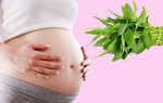 Loại rau rẻ nhưng lại hữu dụng khi mẹ bầu thiếu máu, giảm nguy cơ dị tật thai nhi