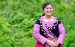 Niềm hạnh phúc từ ngôi nhà có gió và hoa 