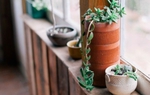 Sự rời đi của 3 người này chính là "món quà" dành cho bạn