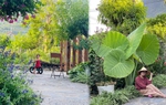 Ngắm khu vườn 300m2 ngập tràn hoa trái ở Hà Giang của bà mẹ trẻ 