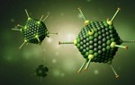 Cha mẹ cần làm gì để giúp con phòng virus Adeno?
