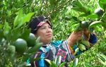 Người phụ nữ dân tộc Tu Dí thay đổi để thành công