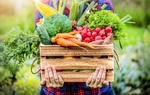 Khởi nghiệp trong nông nghiệp ngày càng được quan tâm, chú trọng