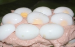 Đặc sản chỉ có ở Ninh Bình cực lạ miệng, ăn xong ai cũng mê, muốn mua về làm quà