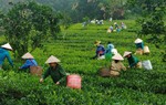 Nhiều điểm cần lưu ý trong Chương trình mục tiêu quốc gia giảm nghèo bền vững giai đoạn 2021-2025 