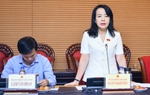Cần giải pháp giảm khoảng cách giới ở lĩnh vực lao động việc làm, gia đình, bạo lực sau đại dịch