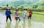 Cần vào cuộc tích cực hơn nữa để thực hiện 3 chương trình mục tiêu quốc gia 