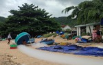Phú Yên: Các cấp Hội cùng chính quyền khẩn trương giúp người dân ứng phó bão Noru