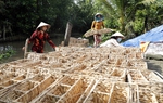 Điểm tựa cho người dân vươn lên thoát nghèo bền vững