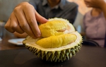 1 múi sầu riêng bao nhiêu calo? Lợi ích khi ăn là gì?