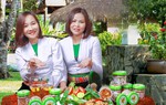 Phát triển sinh kế ở những vùng đặc biệt khó khăn và các nhóm yếu thế 