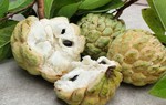 1 quả na bao nhiêu calo? Ăn nhiều na có béo không? 