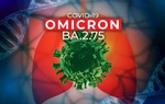 Chuyện đặt tên biến thể phụ của Omicron 