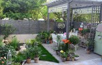 Khu vườn 45m² đậm chất điền viên giữa lòng thành phố, tha hồ trồng hoa nuôi cá 