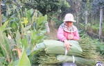 Chính thức đề xuất phương án nghỉ Tết 7 ngày