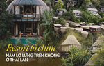 Độc đáo Resort tổ chim nằm lơ lửng giữa những tán cây xanh ở Thái Lan