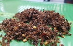 Loại gia vị được làm từ côn trùng là đặc sản chỉ có ở Tây Nguyên, ai cũng phải mua vài hộp về làm quà