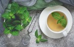 Tác dụng của bạc hà đối với sức khỏe