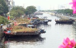 Chợ hoa "Trên bến dưới thuyền" hội tụ nhiều sản phẩm của "vương quốc" hoa, trái