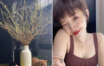 Sao Việt "mất ăn mất ngủ" vì sát Tết tuyết mai chưa nở hoa
