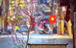 Chung tay hành động và chia sẻ trách nhiệm bảo vệ môi trường sống