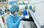 Ghi nhận biến thể mới, sẵn sàng phòng chống dịch trong dịp Tết Nguyên đán