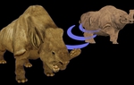 Embolotherium: Loài tê giác sở hữu chiếc sừng giống như loài bọ hung