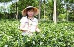 "Những bông hoa Mường" nơi xứ Đoài mây trắng
