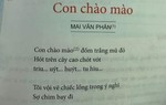 Thêm một bài thơ trong SGK lớp 6 trở thành tâm điểm tranh cãi: "Triu… uýt… huýt… tu hìu…" là gì?