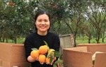 Còn nhiều rào cản khi đưa sản phẩm vùng DTTS lên sàn thương mại điện tử
