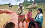 Chính sách ưu đãi đối với doanh nghiệp sử dụng nhiều lao động nữ