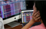 123 mã giảm sàn, VN-Index đứng trước nguy cơ thủng đáy 1.050 điểm 