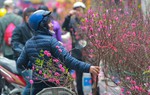 Trình Chính phủ phương án nghỉ Tết Âm lịch và Lễ Quốc khánh năm 2024