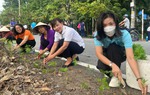 TPHCM: Phát động xây dựng tuyến đường hoa ở khu vực nông thôn