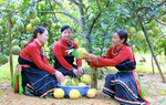 Nhân rộng gương điển hình tiên tiến làm kinh tế giỏi trong hội viên, phụ nữ dân tộc thiểu số