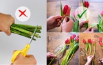 Giữ hoa tươi lâu hơn nhờ những mẹo siêu đơn giản mà hiệu quả