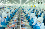 Sau 2 tuần chậm nộp, doanh nghiệp của "nữ tướng" Lệ Khanh công bố lãi giảm 56%