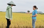 Nhiều mô hình nông nghiệp giúp phụ nữ dân tộc thiểu số ở Bình Thuận thoát nghèo 
